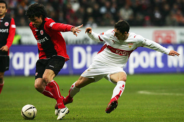 新西兰的体 新西兰的体